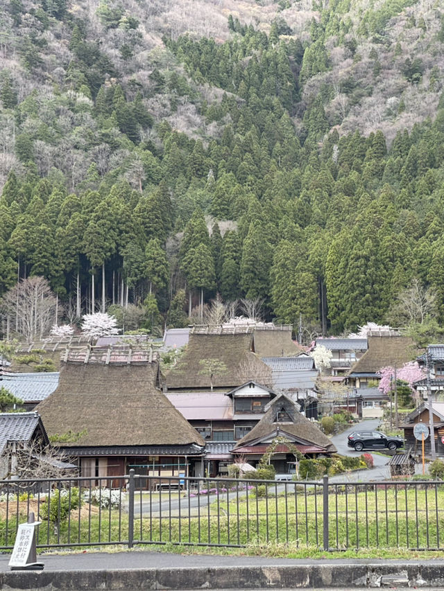หมู่บ้านคายาบุกิโนะซาโตะ (Miyama Kayabuki no Sato)