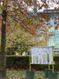 Discover a Different Side of Manchester | A Day at MediaCityUK