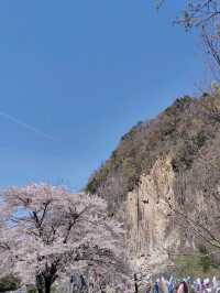 【材木岩公園】国の天然記念物「材木岩」の造形美