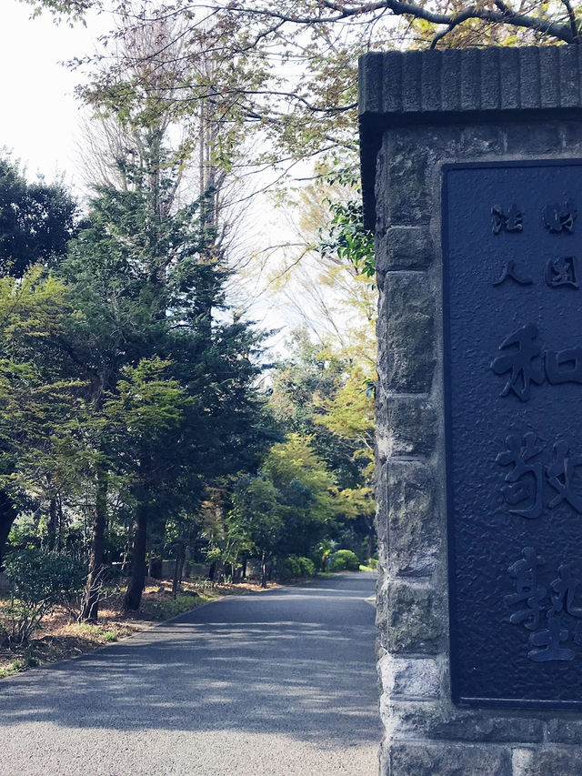 【東京　文京区関口　関口カトリック教会　東京カテドラル聖マリア大聖堂への巡礼】