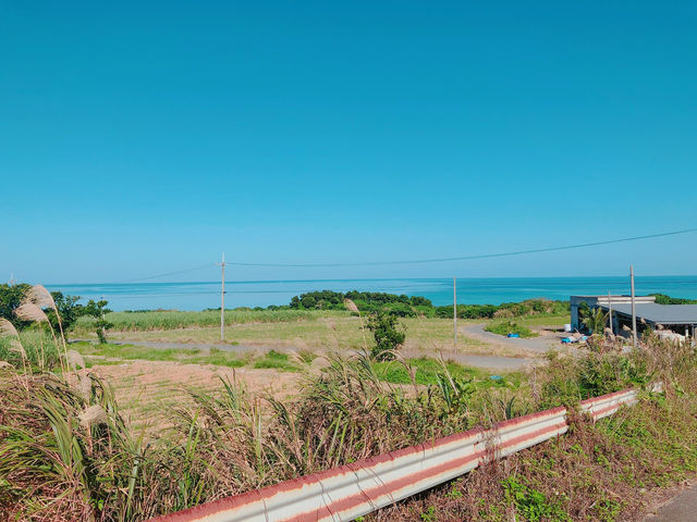 【沖縄　竹富島】ここは天国？1年中楽しめる竹富島