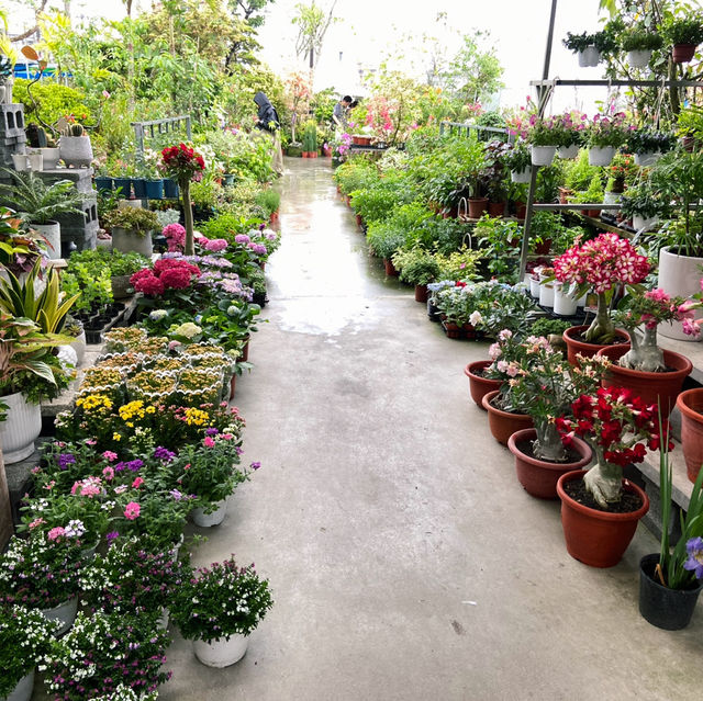 宜蘭秘境花市｜進花園・和旺園藝 IN GARDEN