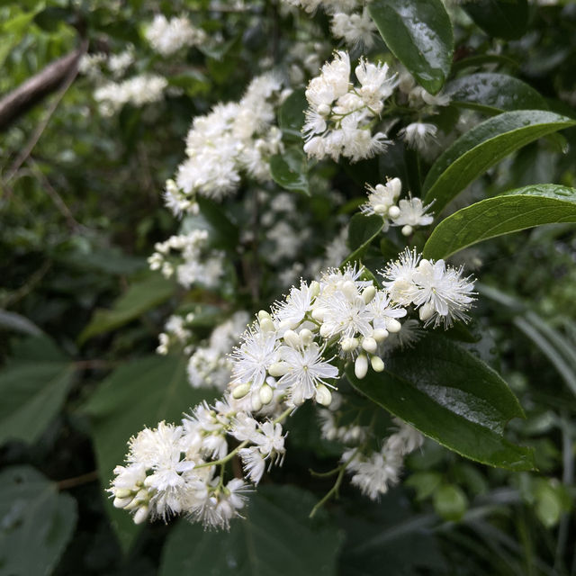 龍潭湖｜宜蘭礁溪秘境散步好去處