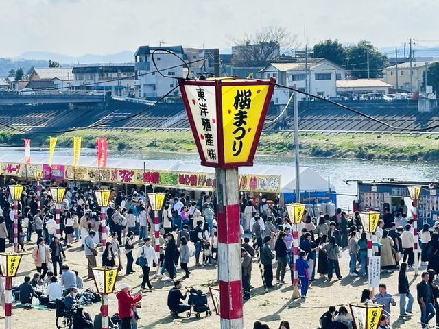 🇯🇵仙台 你有看過河邊櫻花隧道嗎？🌸
