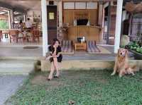 🍢 Ryokan Cafe : คาเฟ่บรรยากาศญี่ปุ่น ในเชียงราย