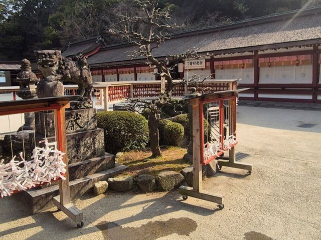 후쿠오카 여행코스!💖