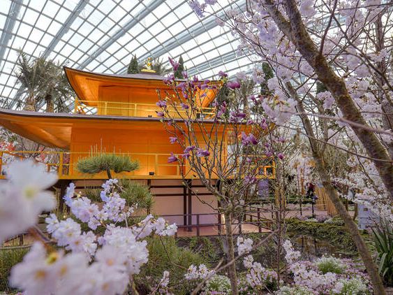 My Cherry Blossom Adventure at Gardens by the Bay