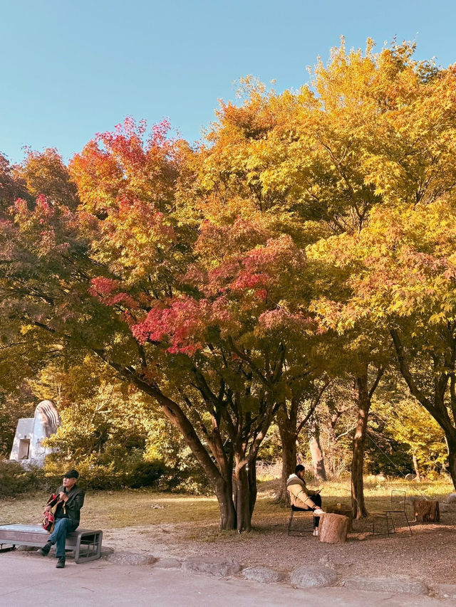 Seoul for fall colors