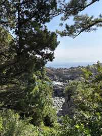Unforgettable Journey to Igaigane, Izu Peninsula