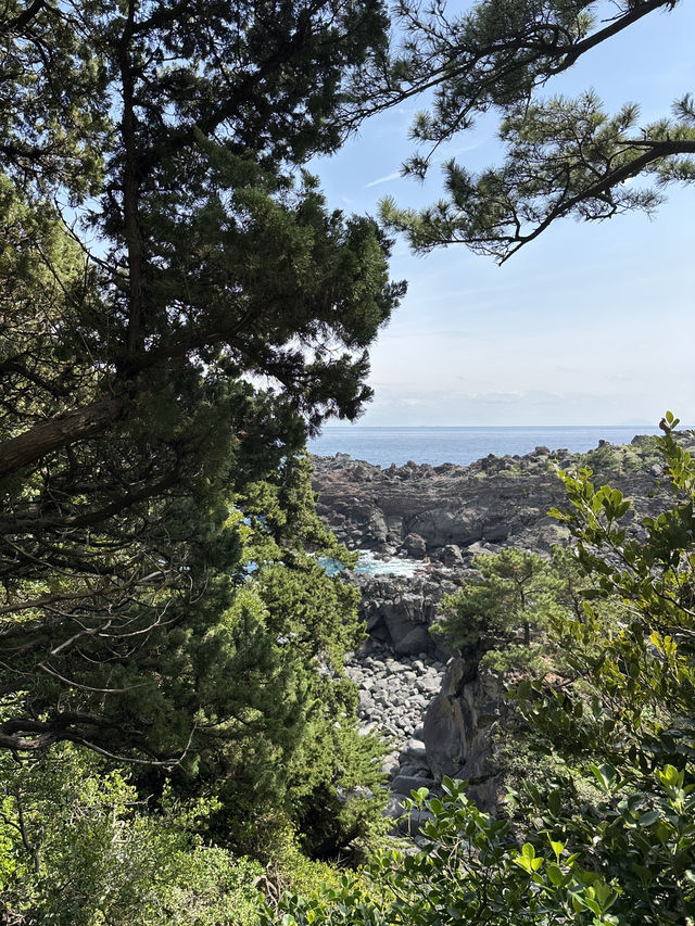 Unforgettable Journey to Igaigane, Izu Peninsula