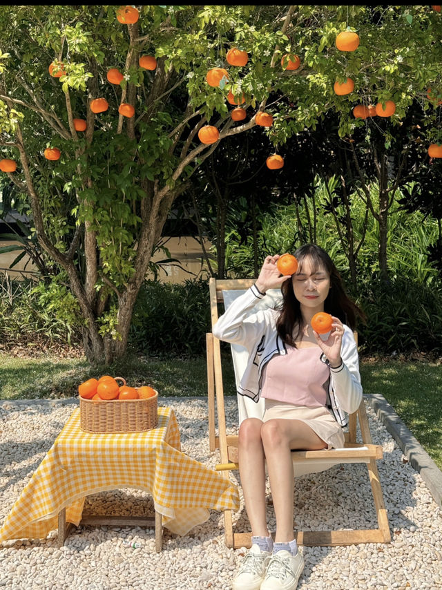 Montreux Cafe & Farm ครบจบในที่เดียว! 🍊