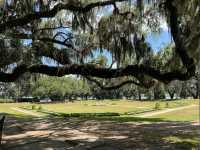 Middleton Place (Gardens) – Charleston, SC
