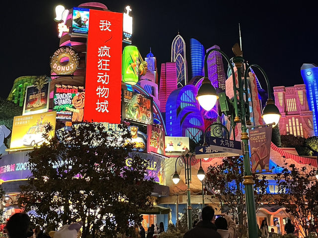 저질체력이 알려주는 상하이 디즈니랜드 꿀팁‼️