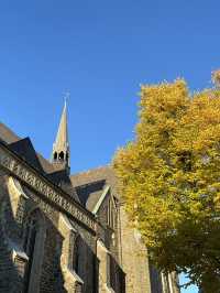 Wenden in Autumn: Where German Countryside Turns into a Golden Canvas