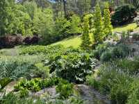 Adelaide Hills Botanic Garden: A Nature Lover’s Hidden Paradise