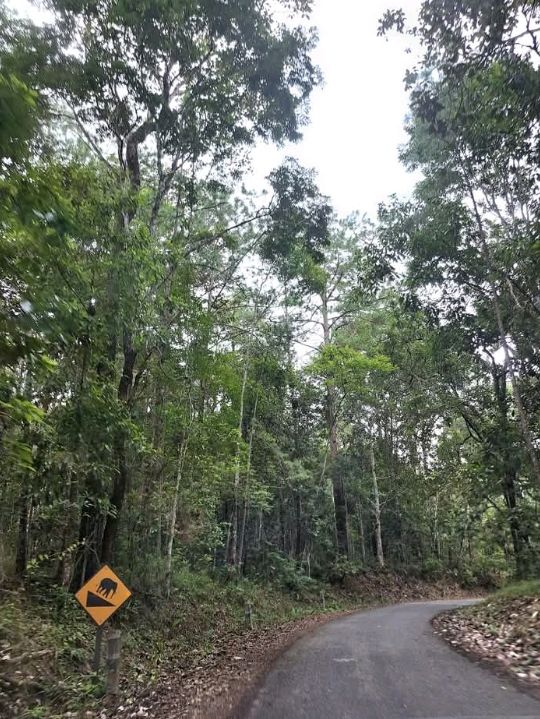 เขตรักษาพันธุ์สัตว์ป่าภูเขียว