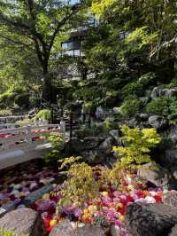 「なんで誰も教えてくれなかったの…？」岡寺に立った瞬間、思わずそんな言葉がこぼれた🇯🇵✈️🌏 