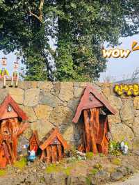 Jeju's Magical Photo Forest: Sanyang Keunkot Review