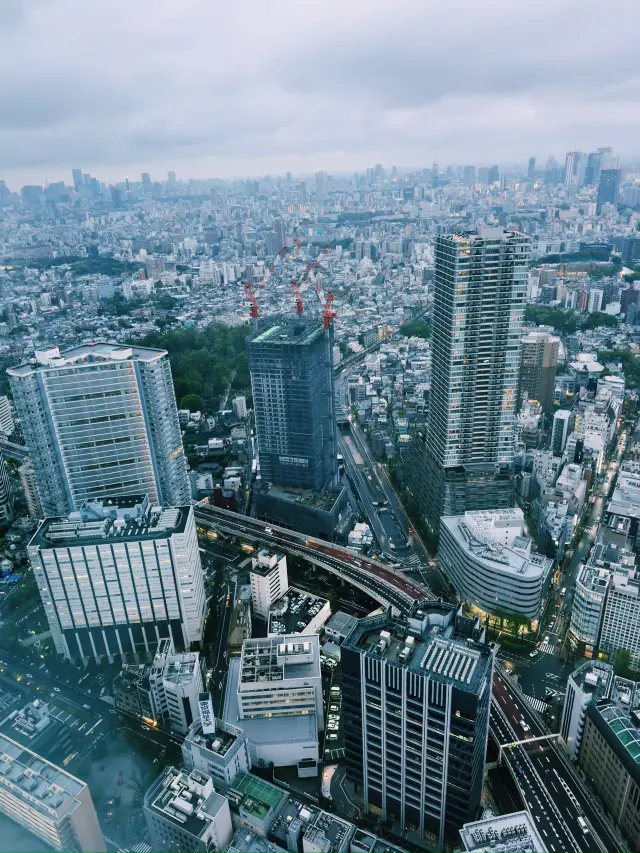Tokyo | Tokyo Metro Fukutoshin Line | A Trendy and Creative Brown Urban Journey