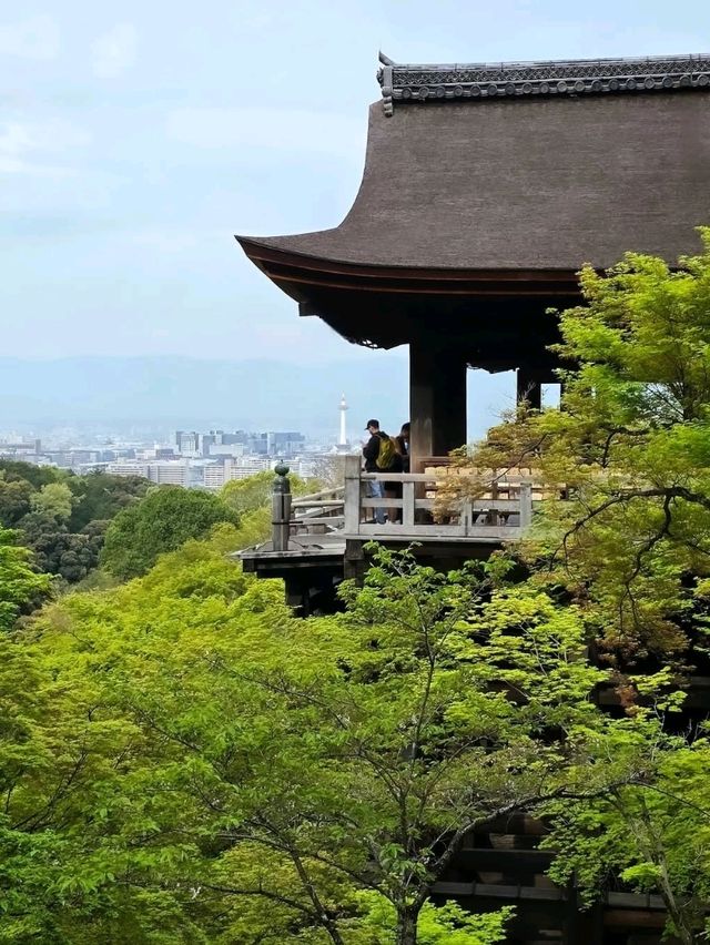 Kyoto’s Iconic Temple
