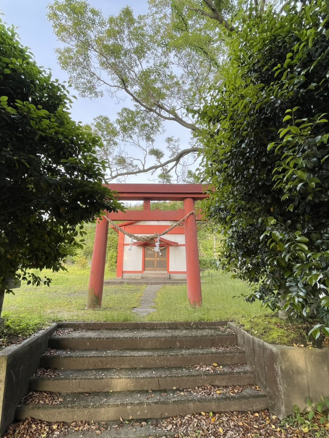 清新脫俗的神隱火山村🌸千尋櫻島