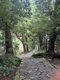 大門阪：那智的古道石梯🏞️🪨