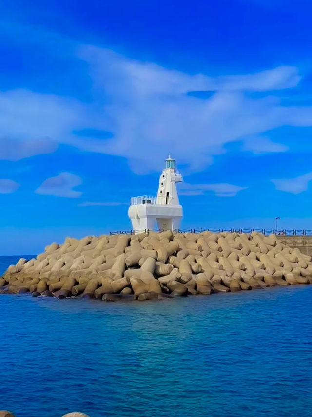 🏖️ 이호테우 해수욕장, 제주의 청량한 바다!