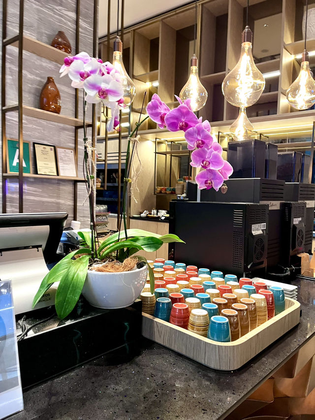 Comfort and Flavor Combined: Dining at Nomadic Restaurant Kuching