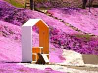 【北海道】圧巻のピンクの絨毯！「ひがしもこと芝桜公園」