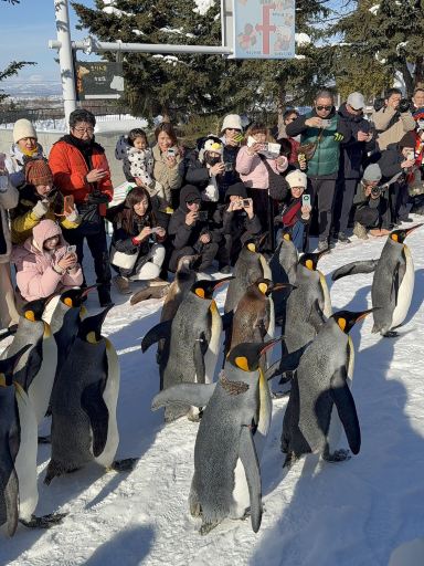 Asahiyama Zoo Tickets [2026] - Promos, Prices, Reviews & Opening