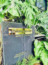Starry House Bowin