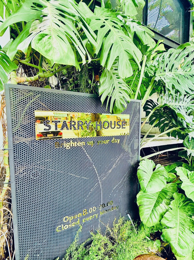 Starry House Bowin