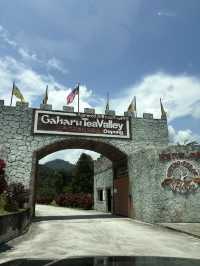 Gaharu Tea Valley Gopeng - Mini Cameron