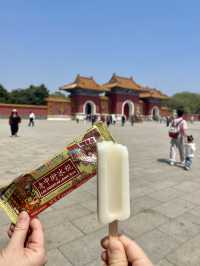 🌸Shenyang in Spring：From Blossoms to Banchan