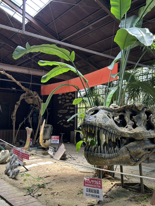 【沖縄】絶景を眺めながらタイ料理🇹🇭