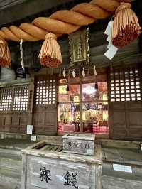 A Slow Stroll Around Oyama Shrine – Nature, Culture & Noodles