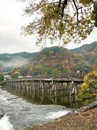 京都　京都観光　京都観光攻略はコレだ！