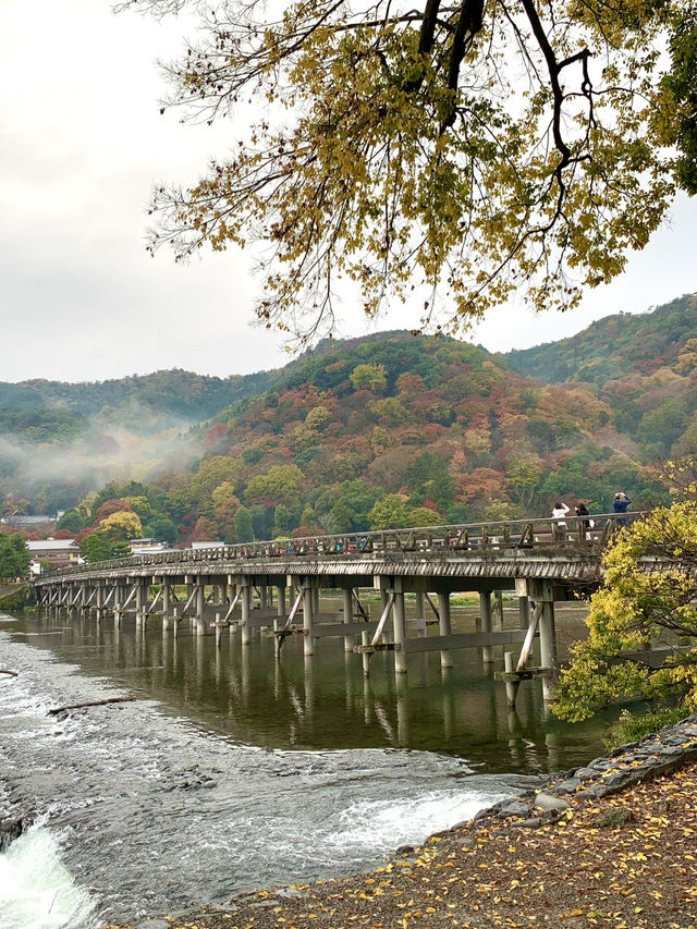 京都　京都観光　京都観光攻略はコレだ！