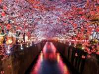Nakameguro by the Meguro River – A Trendy Tokyo Stroll with Seasonal Charm
