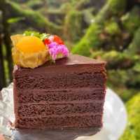 ชมปลาคาร์พ ในคาเฟ่สวย - ที่ คาร์พ คาเฟ่ เชียงใหม่