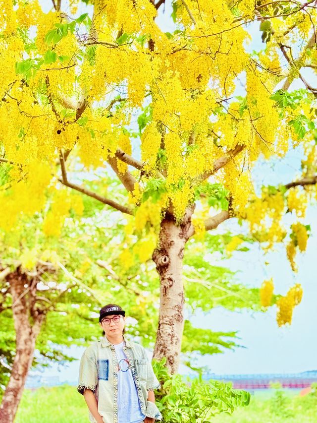 崙頂里河堤步道