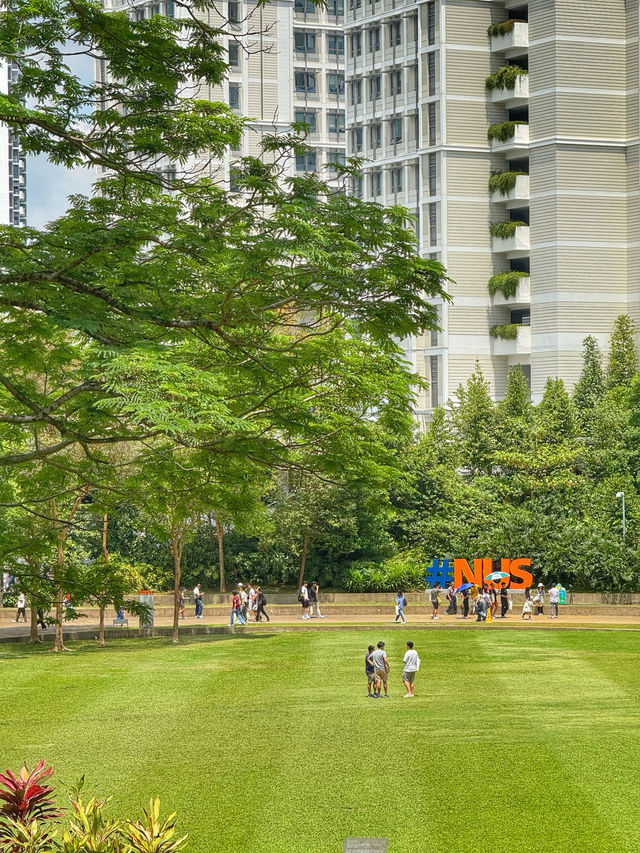 Brains and Beauty: A Scenic Stroll Through NUS