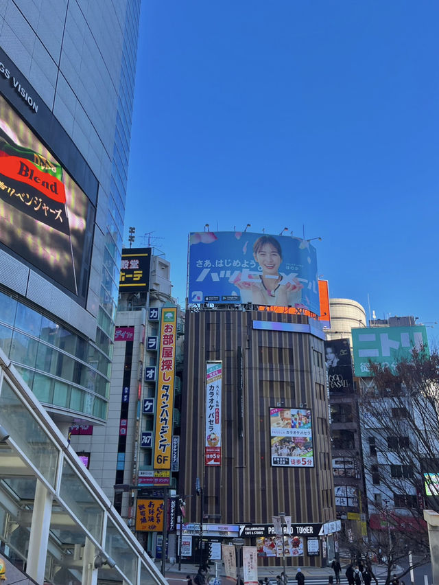 🗼 도쿄, 도시와 일상이 만나는 여행