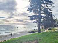  เดินเล่นริมทะเลที่ Cottesloe Beach