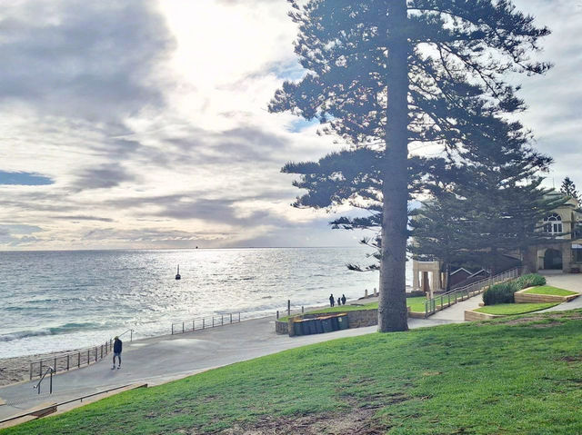  เดินเล่นริมทะเลที่ Cottesloe Beach