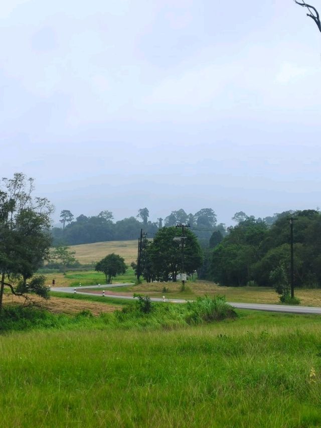 อุทยานแห่งชาติเขาใหญ่ จ.นครราชสีมา