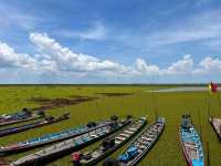 Nature's Symphony at Thale Noi Wetlands