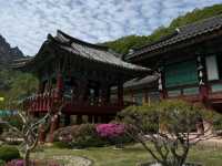Above the Clouds: A Soulful Journey Through Seoraksan National Park