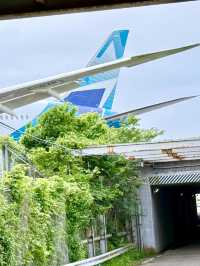 【千葉県】間近に航空機が見られる神社