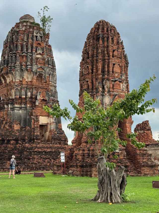 Wat Mahathat in Ayutthaya, Thailand 